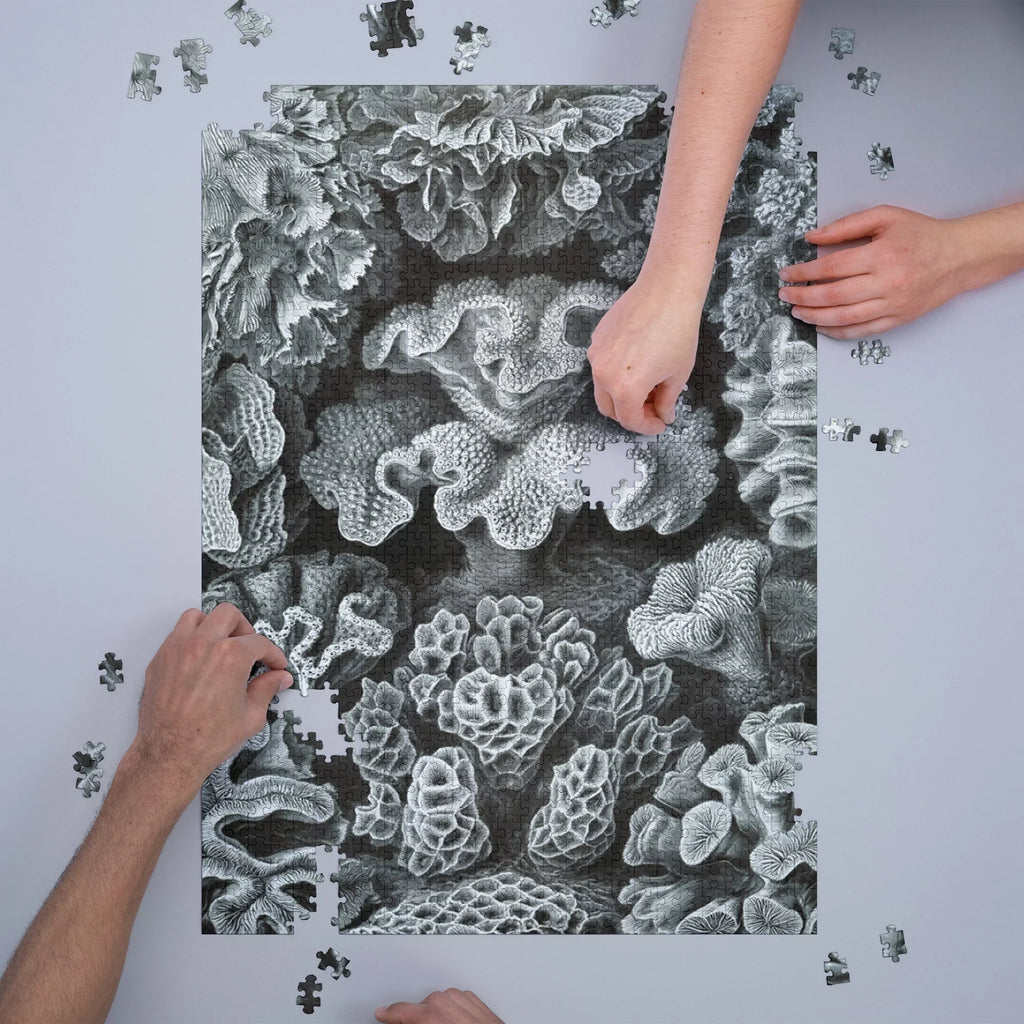Family, Haeckel, dimension Made Ernst USA) Puzzle Adults in Jigsaw 19x27, Challenging Puzzle, and Piece (1000 Hexacoralla for