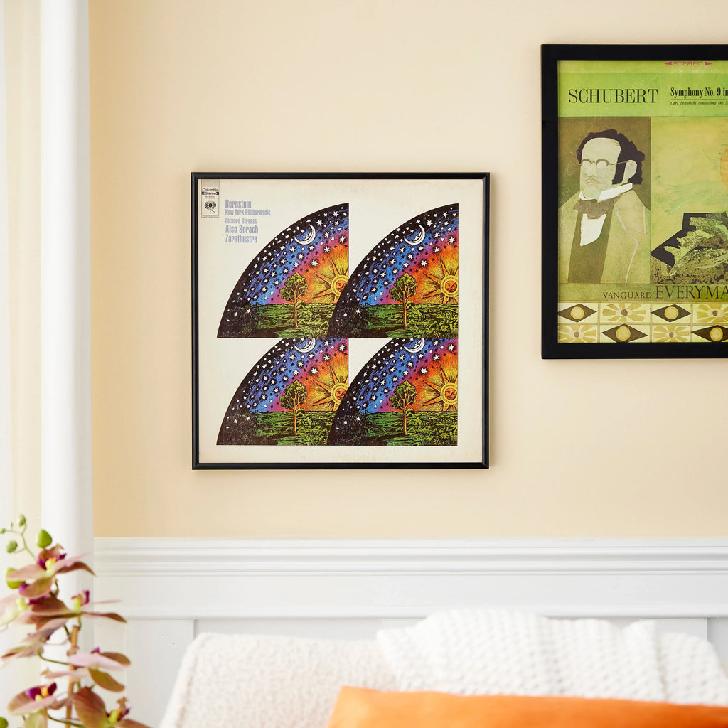 Black Décor - Album Frame 12 Hardware Pack Display Frame - by LP Includes Picture Vinyl Studio Bulk Hanging