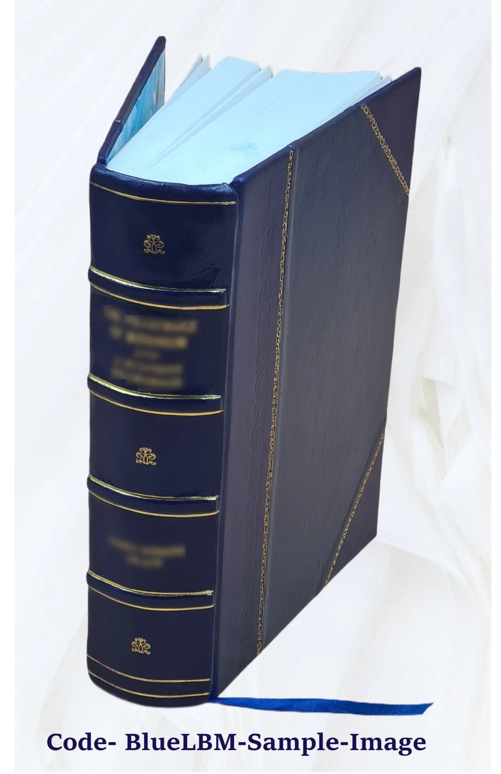 Giambatista Volume 1791 marca v.7-8 trivigiana [Leather e Verci ... Bound] di della Storia veronese,