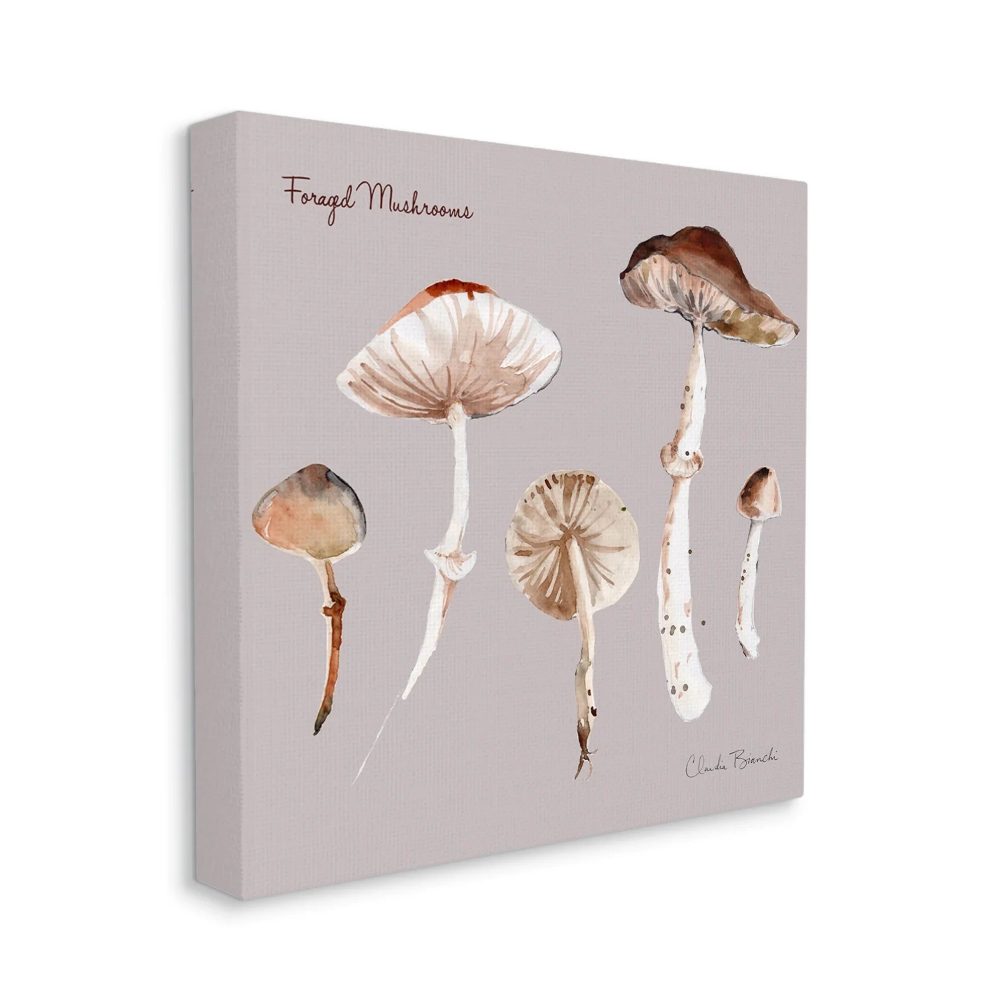 Botanical Wall & Art, Canvas Foraged Floral 36 x Stupell Study Wrapped Mushrooms 36 Art Painting Industries Print Gallery