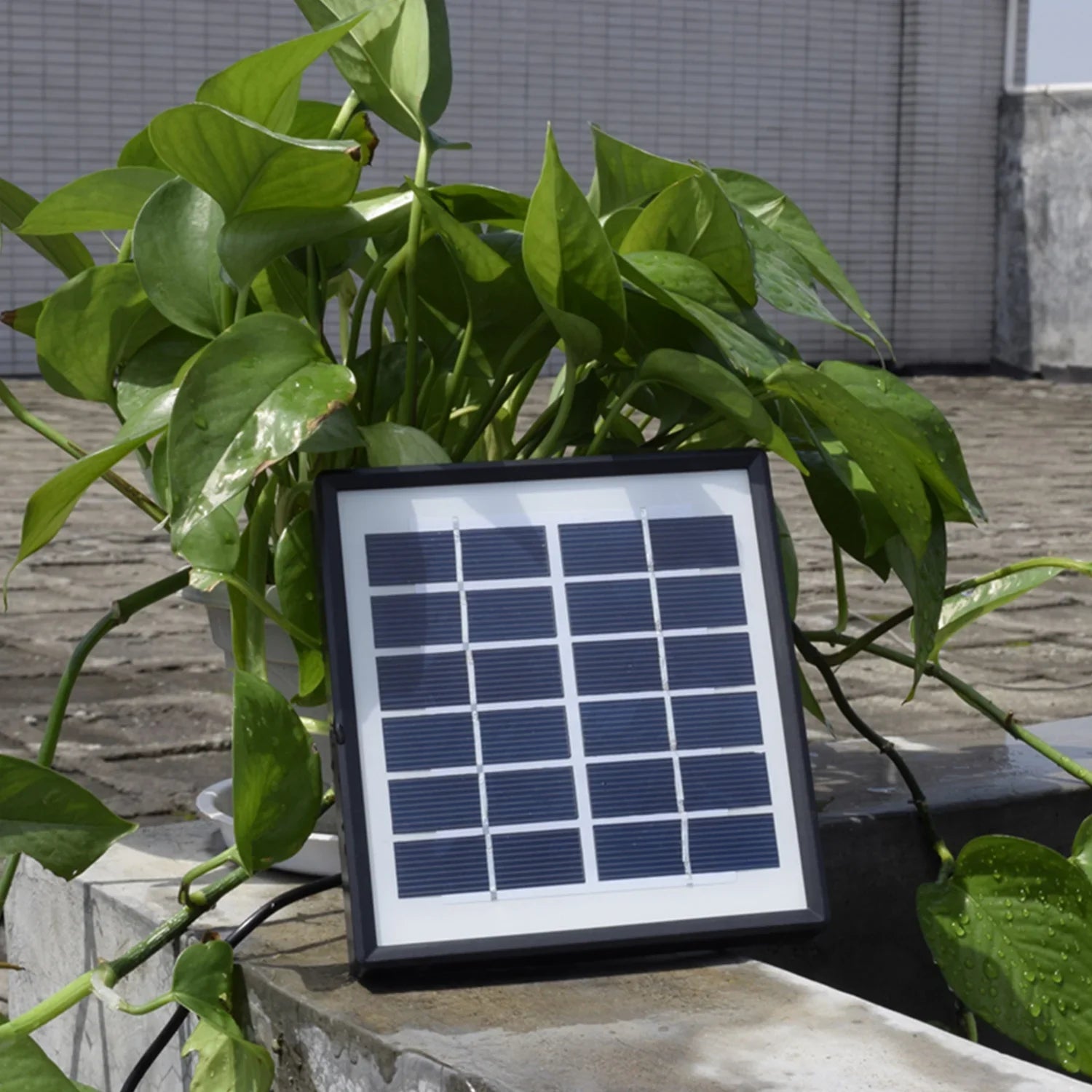 Tank Fish Bubble Pipe Aerator Dadypet Pump Stone Mini IUPPA Airpump Washboa Pump Pond Air Pond Pond Fountain,Air Aerator Pump Fish Round Tank Aerator Air Aerator Aerator Solar boa 1.5W Solar Air