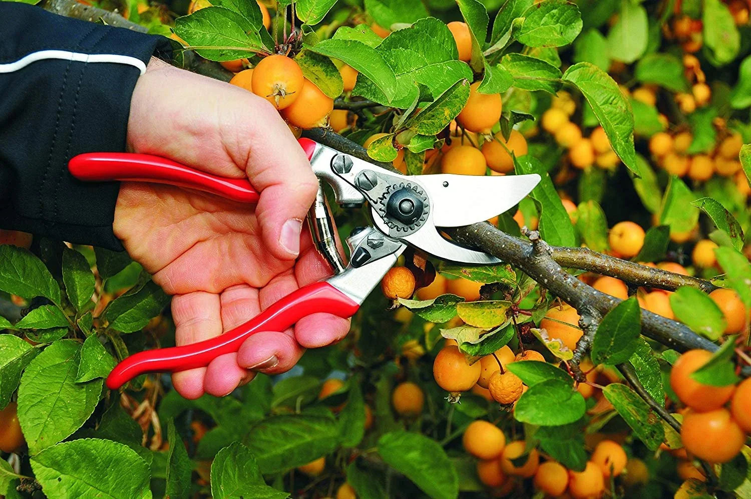 Handed Pruner Felco Left F9 5.25 in. Bypass