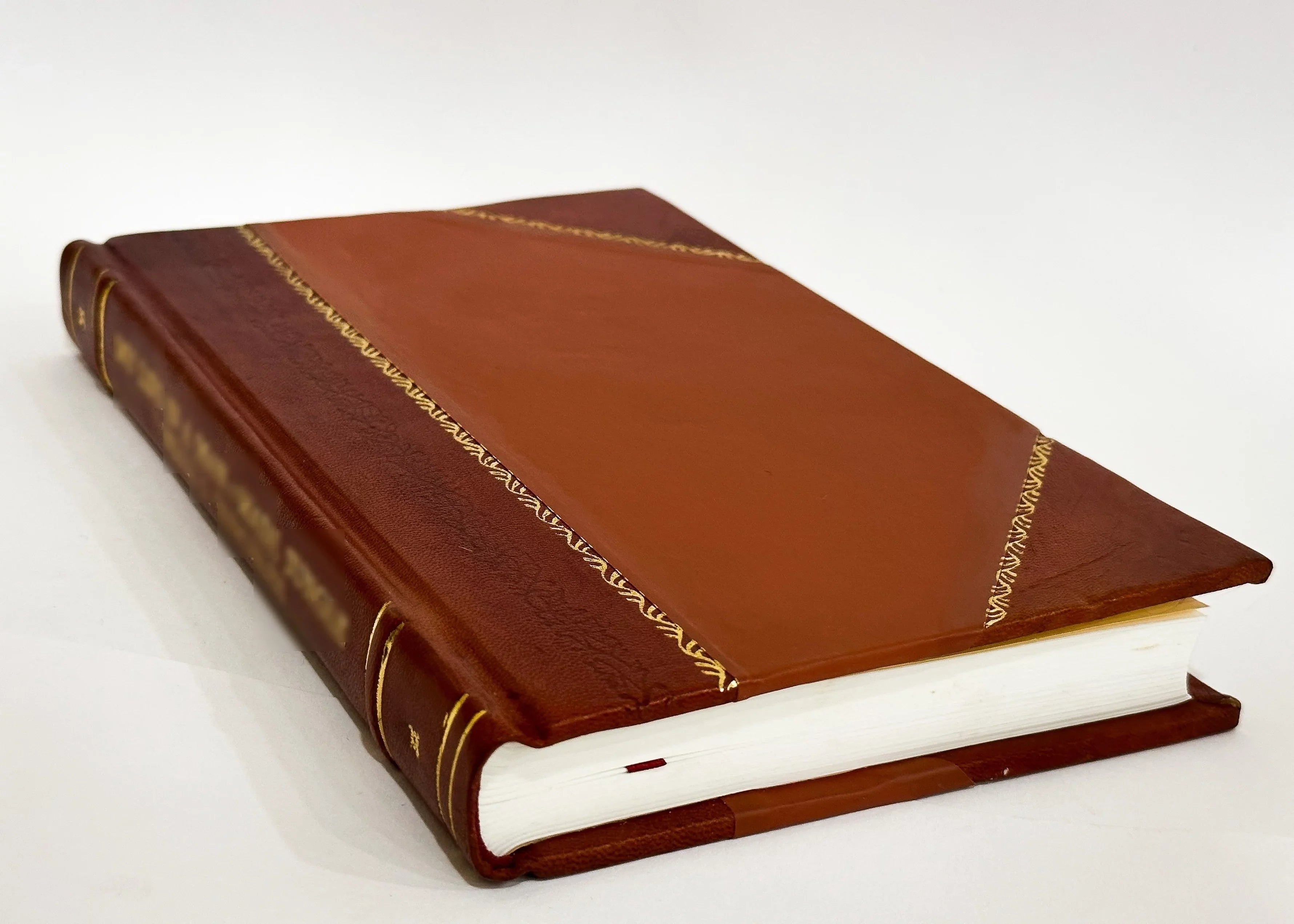 (1853) [Leather Degli Bound] Volume Critica Bianchi Evangeli , / Giovini Aurelio 2 (1853)