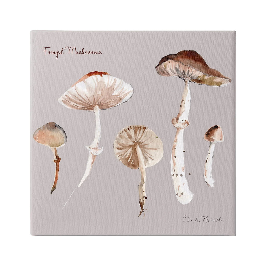 Botanical Wall & Art, Canvas Foraged Floral 36 x Stupell Study Wrapped Mushrooms 36 Art Painting Industries Print Gallery