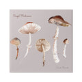 Botanical Wall & Art, Canvas Foraged Floral 36 x Stupell Study Wrapped Mushrooms 36 Art Painting Industries Print Gallery