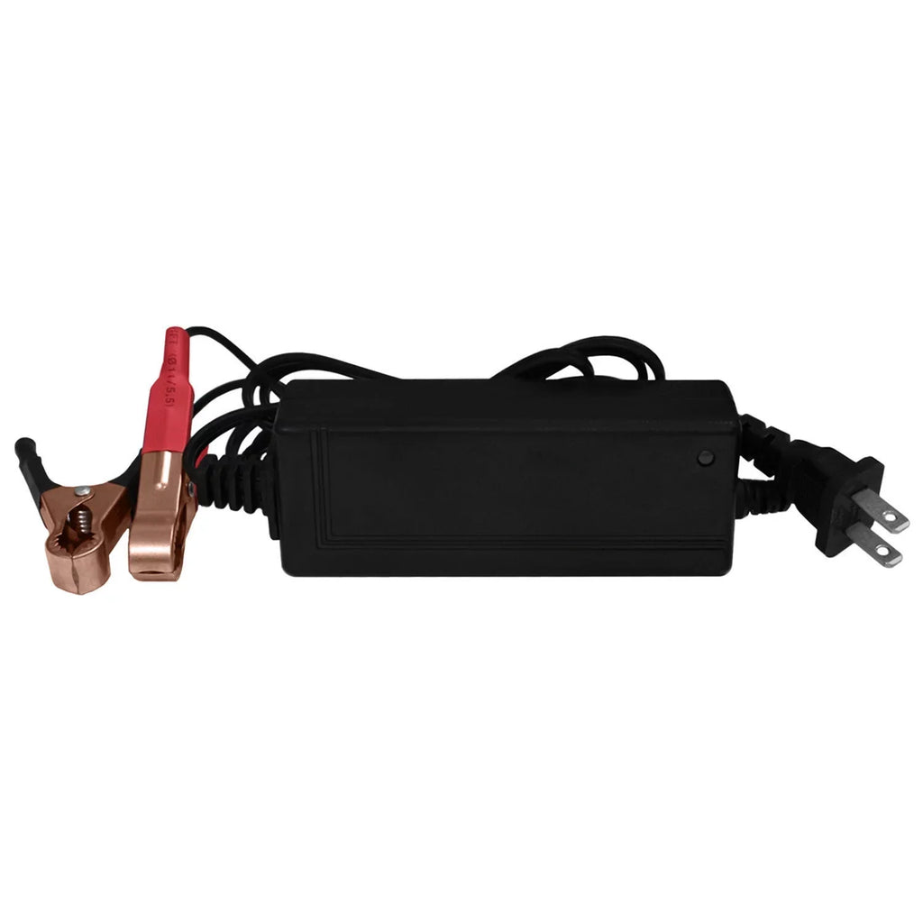 Battery GSX-R1000 Charger + 12V 10AH for GEL 2Amp YTX12-BS 12V Suzuki