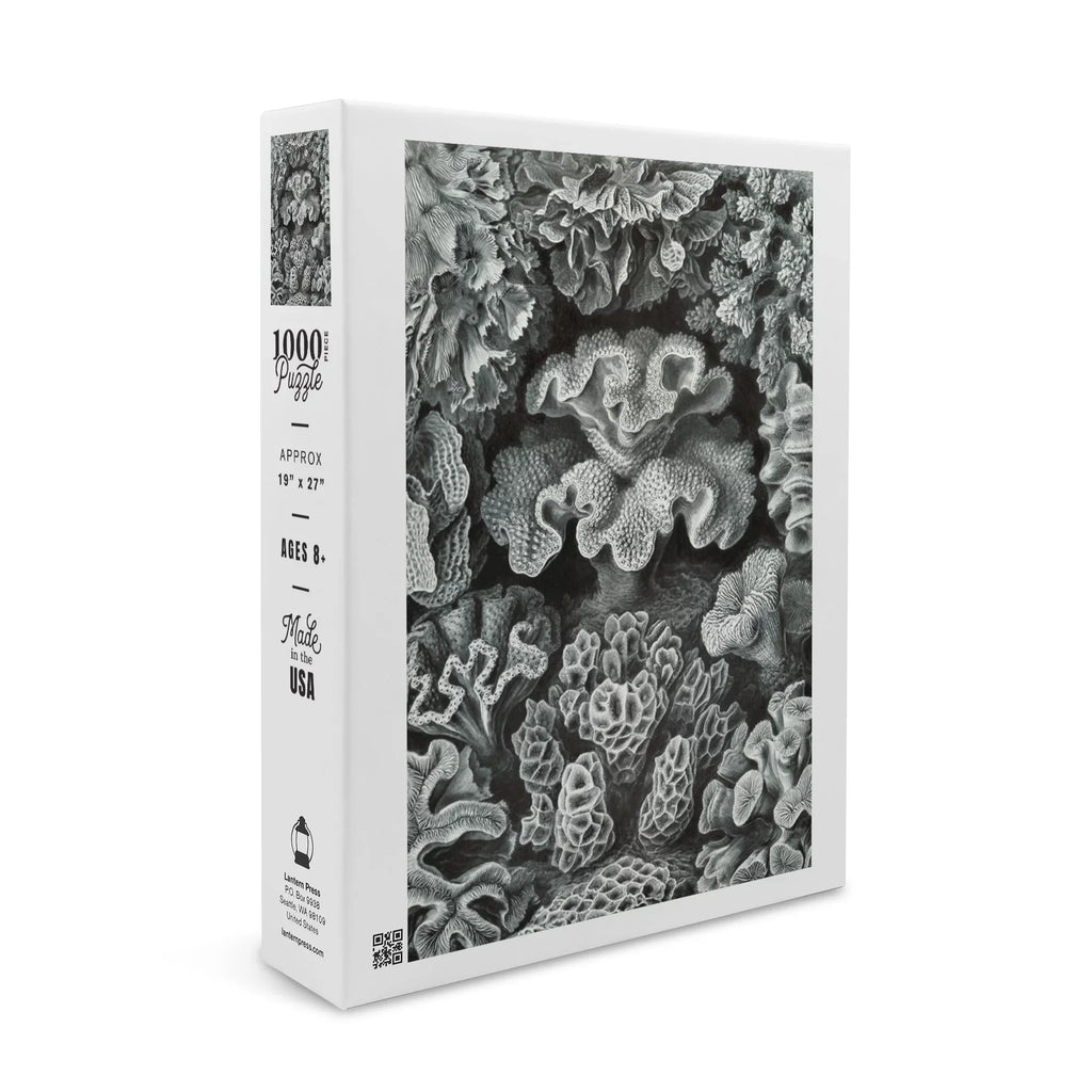 Family, Haeckel, dimension Made Ernst USA) Puzzle Adults in Jigsaw 19x27, Challenging Puzzle, and Piece (1000 Hexacoralla for