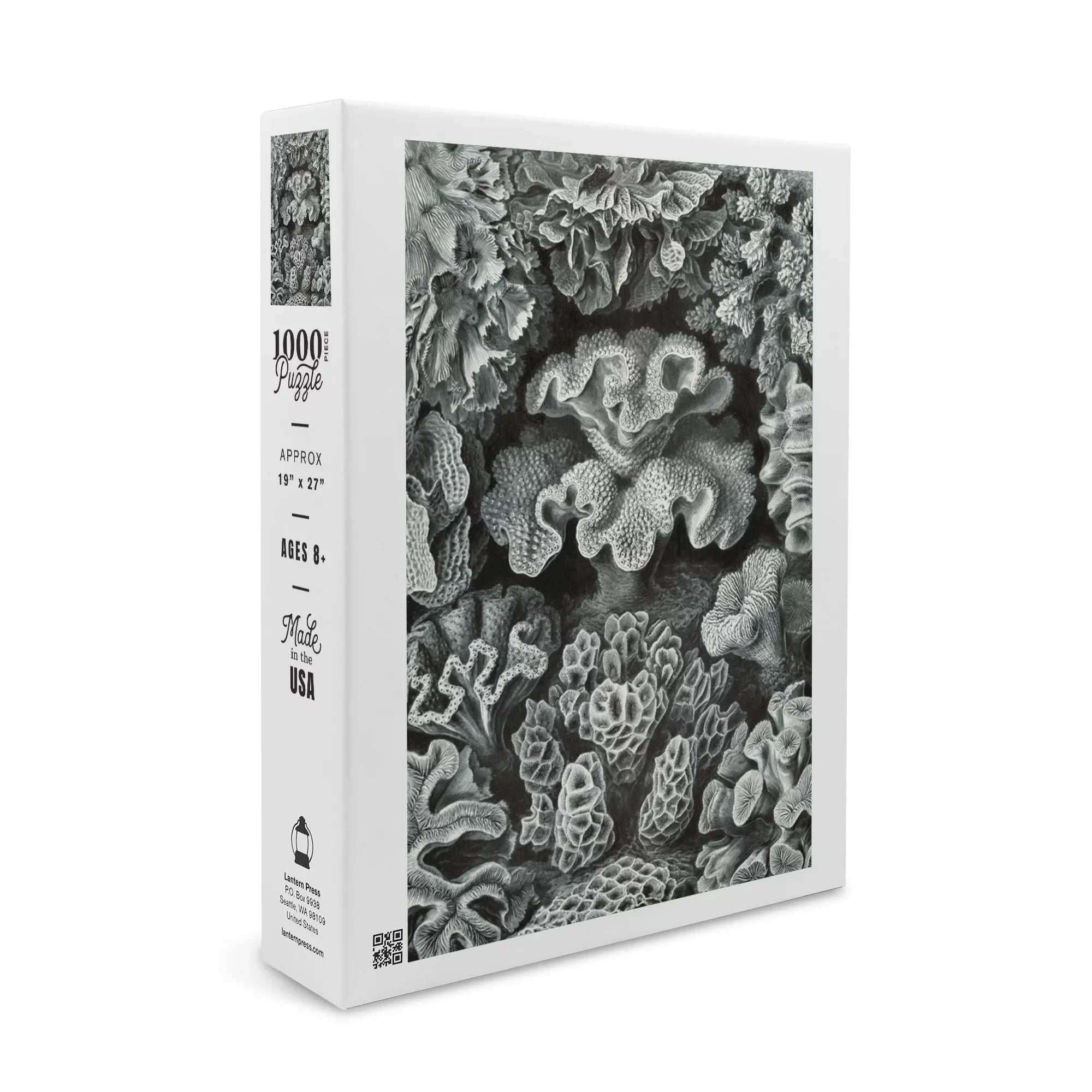 Family, Haeckel, dimension Made Ernst USA) Puzzle Adults in Jigsaw 19x27, Challenging Puzzle, and Piece (1000 Hexacoralla for