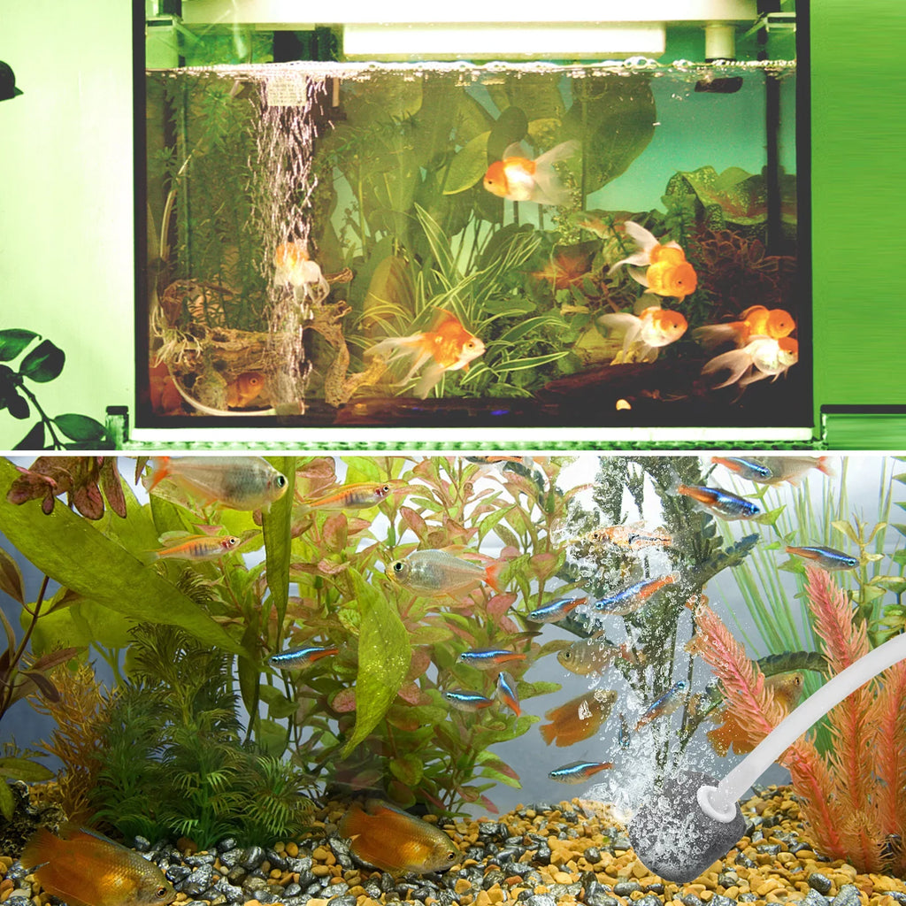 Bubble 1.5W Oxygenator Htovila Landscap Pools Fish Aerator Fishing Small Stone Fish Pump Tranportation Pump Pond Garden for 5.5V Air Solar Ponds with Circulation Aquarium Rechargeable Air &