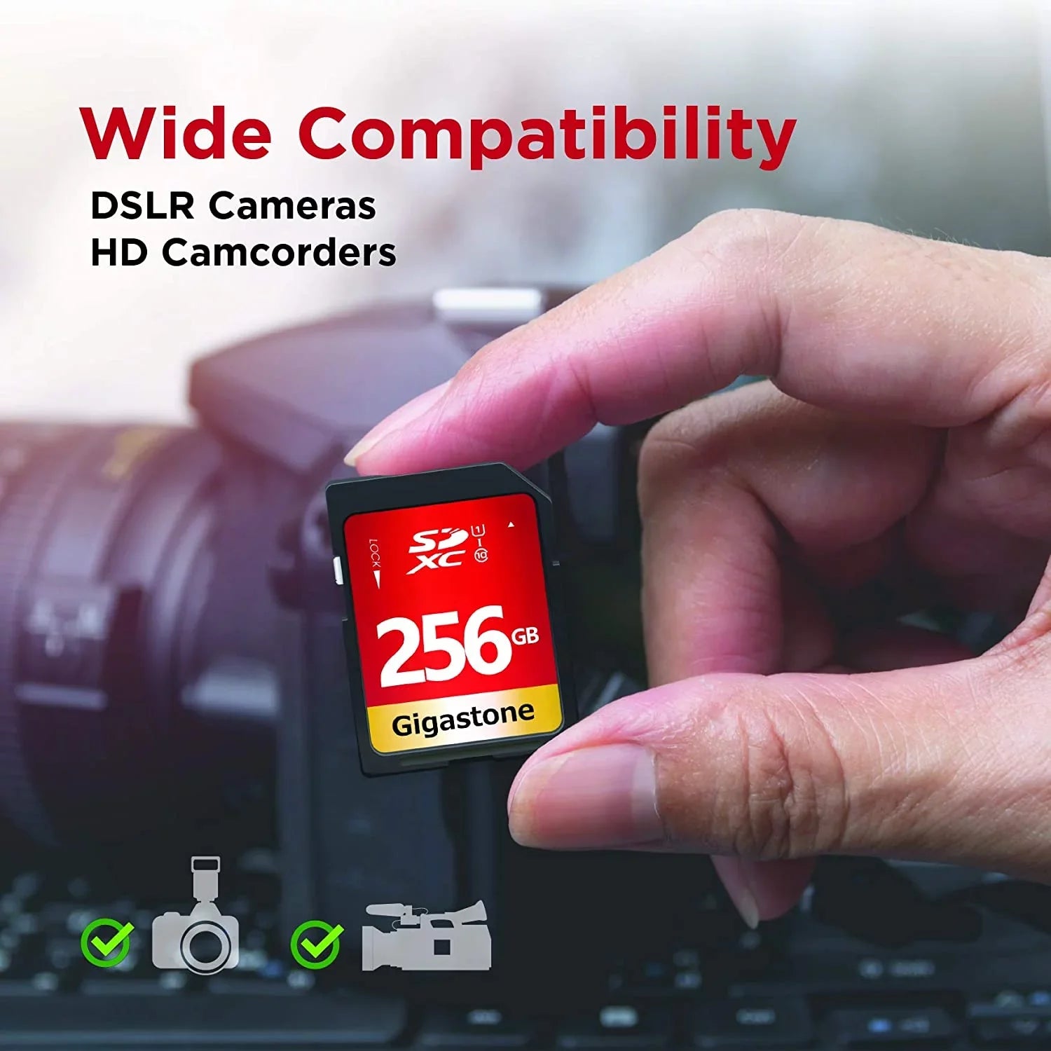 Gigastone Nikon HD SD Class Speed Digital Full High Memory Kodak SDXC Camera Olympus 10 U1 Card Card UHS-I Canon Video 256GB Panasonic Pentax