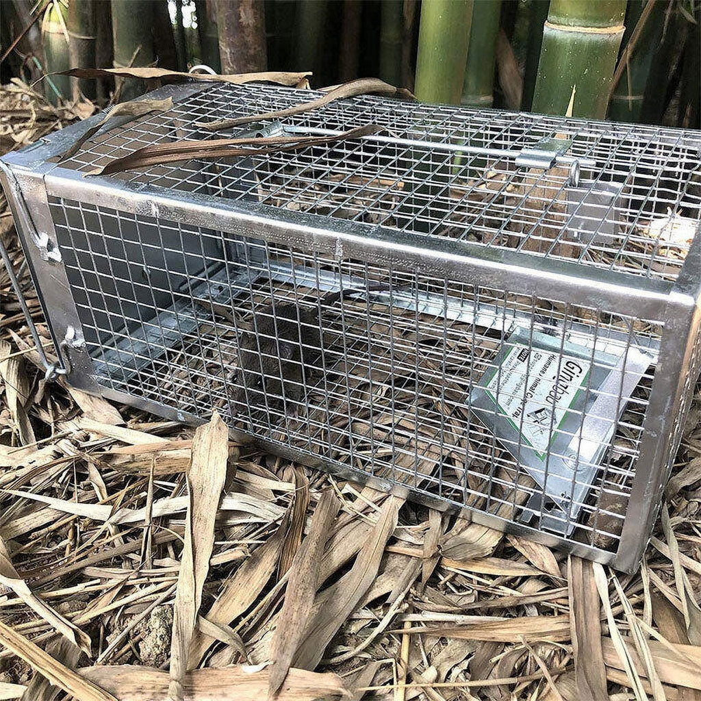 Animal Mice Rodent Live Mouse Angfeng Control Pest Humane Rat Trap Catch Bait Cage