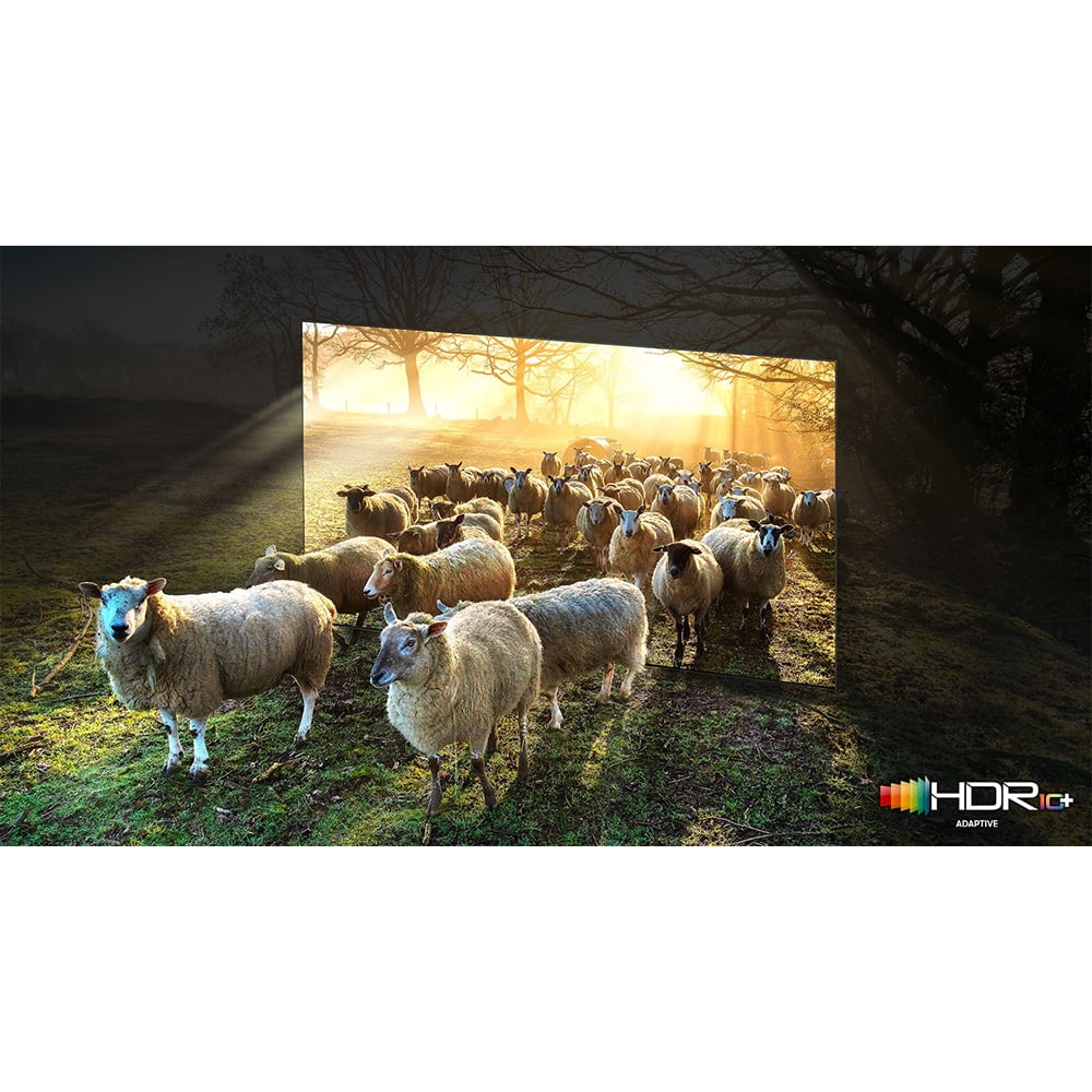 Neo Plan (Refurbished) Inch with QN75QN900A Protection QLED 75 Premium (2021) 8K TV Restored 2 Extended Year Bundle Smart