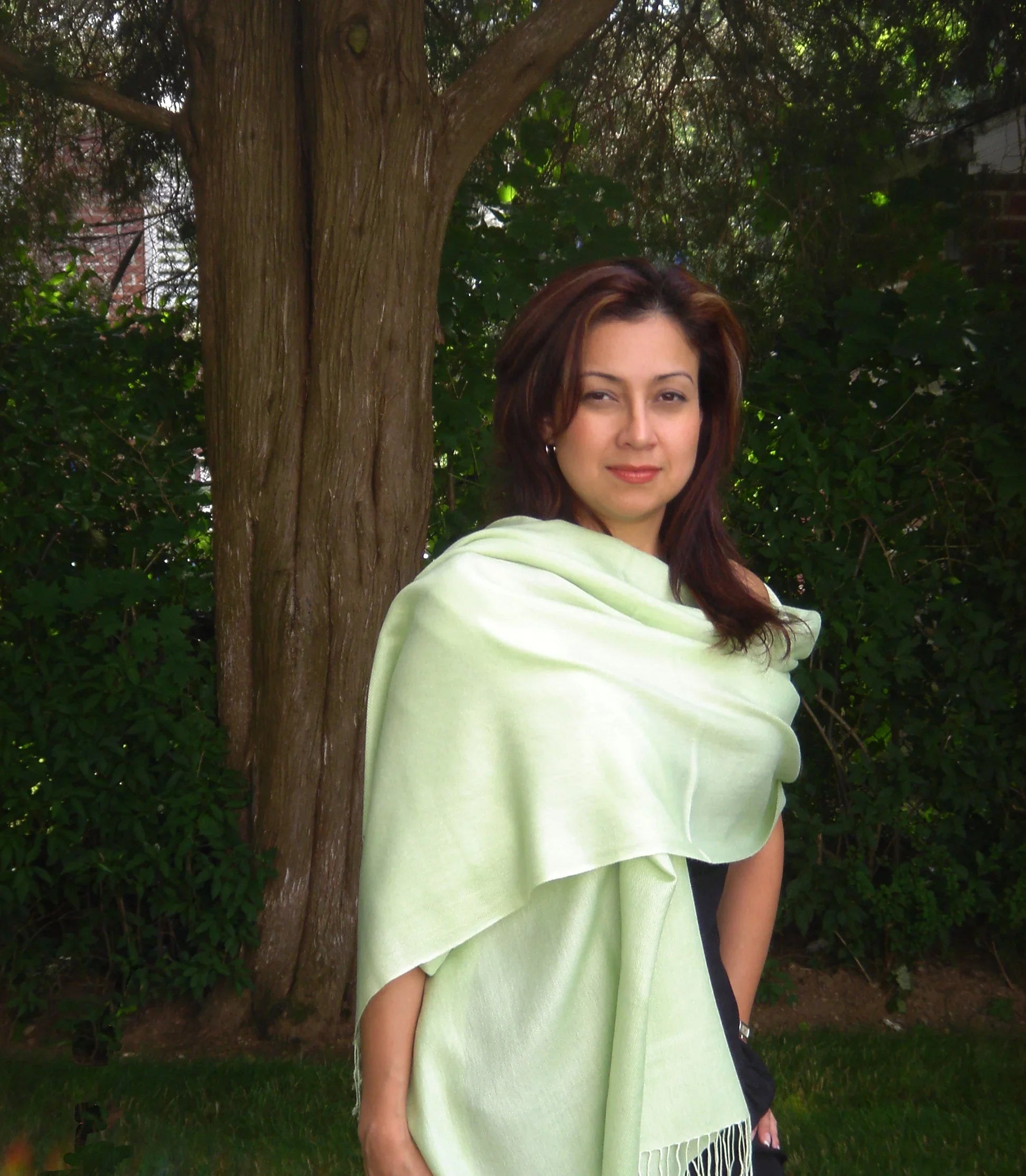 Scarf/Pashmina Green) Scarf/Wool/Silk Scarf/Scarves/Shawl/Shawls/Stole/Wrap/Pashmina (Mint Shawl/Cashmere/Cashmere