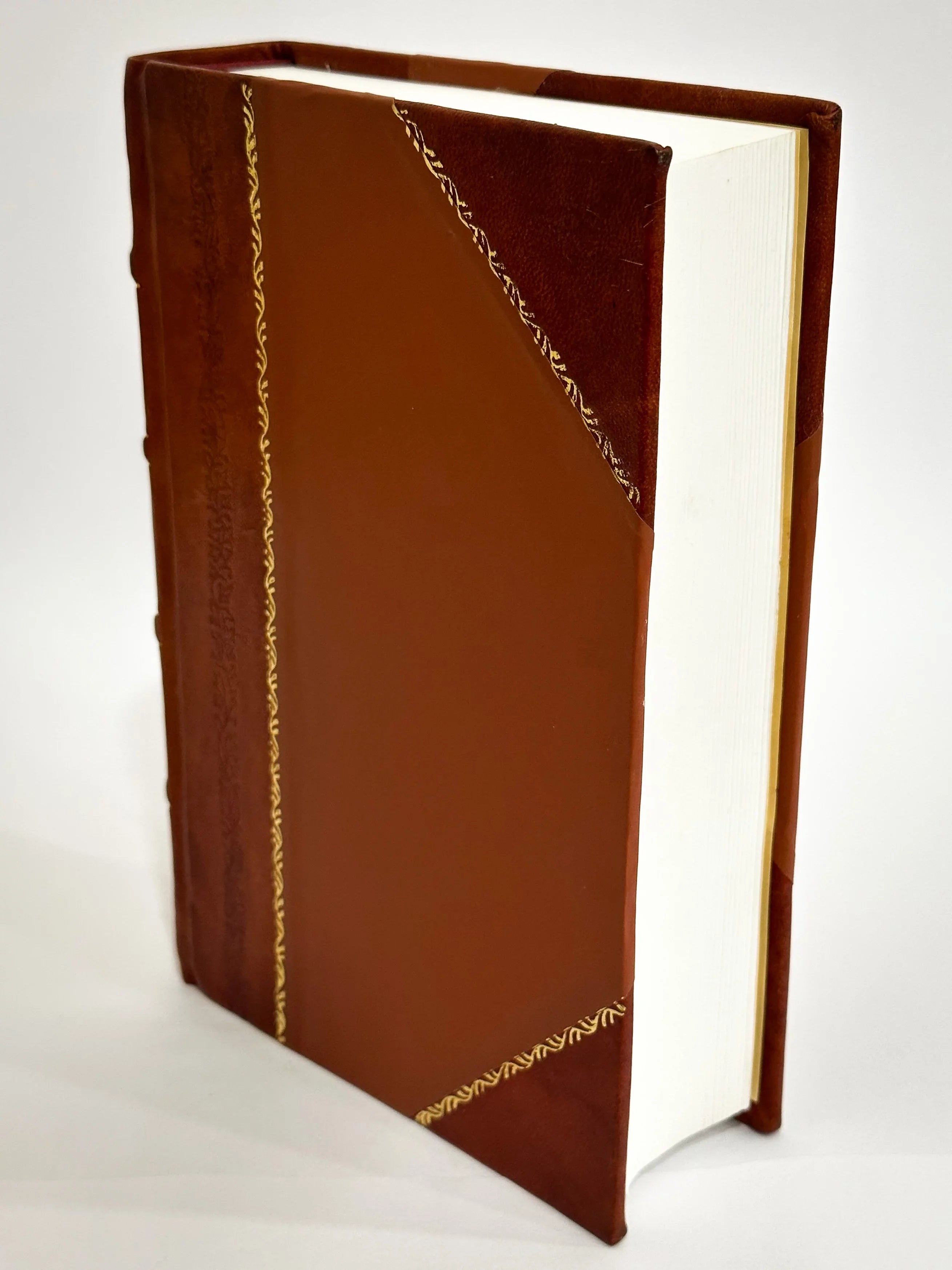 (1880) Young [Leather My a Bound] (1880) Yonge, : Charlotte Mary Photograph Faded / Alcides