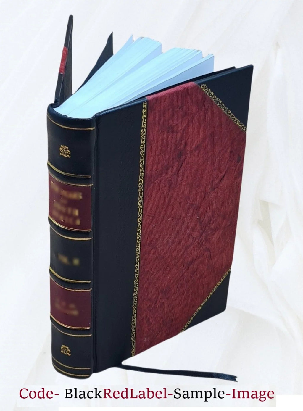 S. of A. west of counties, the and The 1891 border short stories by Gibson, Cumberland some Alexander F. rhymes Craig being dialects and districts Bound] in adjacent; the [Leather folk-speech
