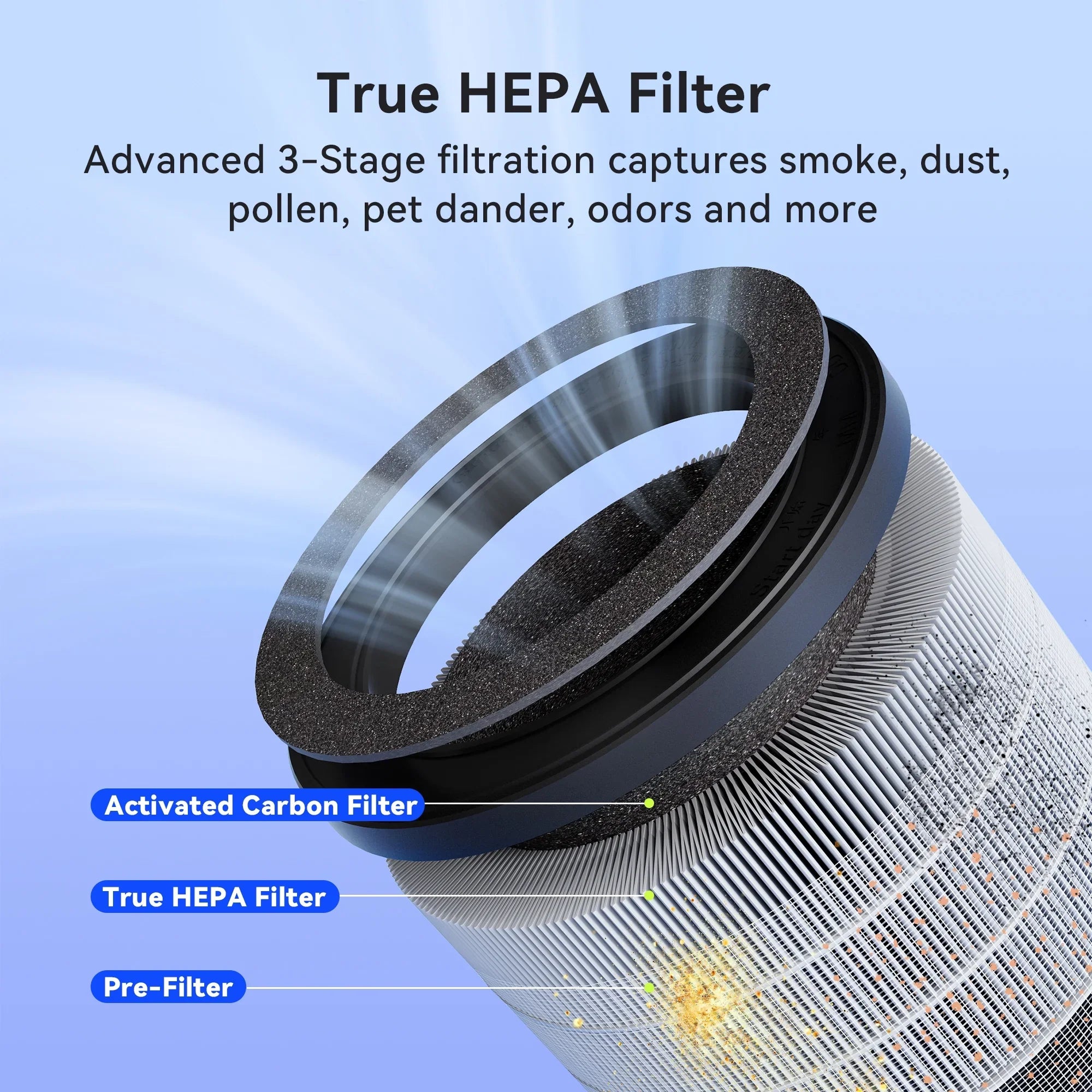 and H13 True Purifier for Filter, MSB5 Black Membrane Solutions HEPA Allergies LED Light, Air Asthma,