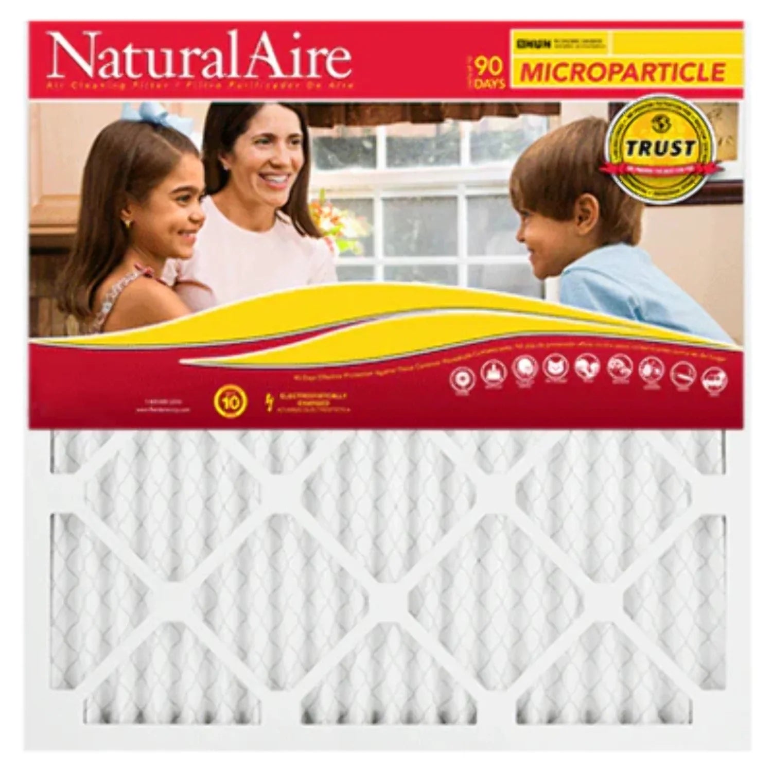 Microparticle MERV 10 85156.01175235 17.5x23.5x1 pack) NaturalAire Filters (12