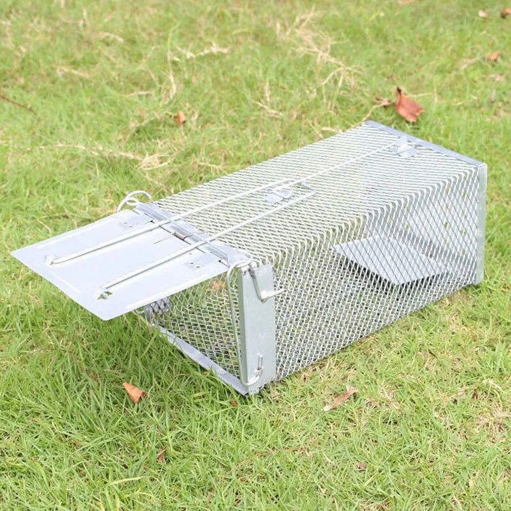 Animal Mice Rodent Live Mouse Angfeng Control Pest Humane Rat Trap Catch Bait Cage