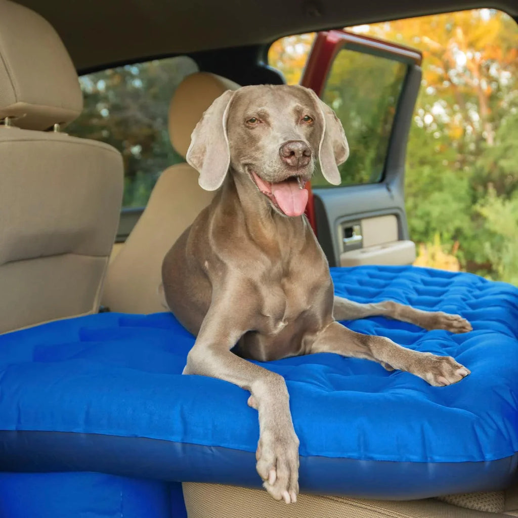 | Outdoors Air 5 Full-Sized Trucks And | Seat Blue 's, Pittman Truck Length Fits Inflatable Rear Feet Fabric Mattress PPI-BLU-TRKMAT In Bed